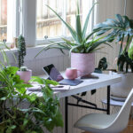 Desk table and chair interior with laptoo computer and potted plants